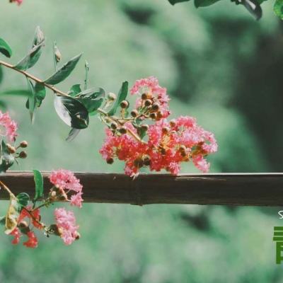 亚搏平台最新版app下载