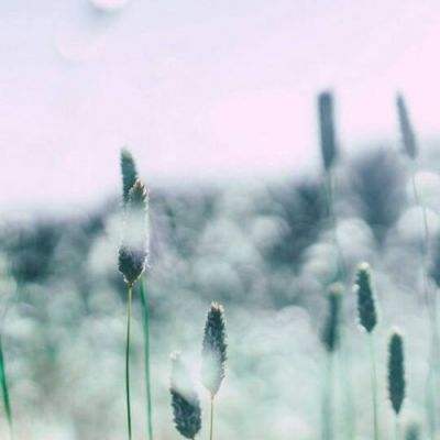 麻将胡了网站入口截图